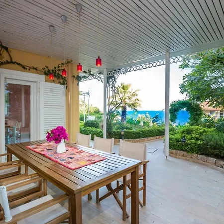 Mimosa Kaş